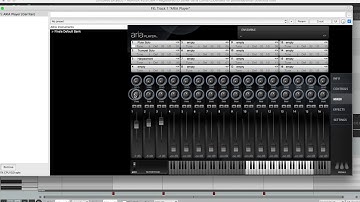 setting up Aria player in Reaper GPO