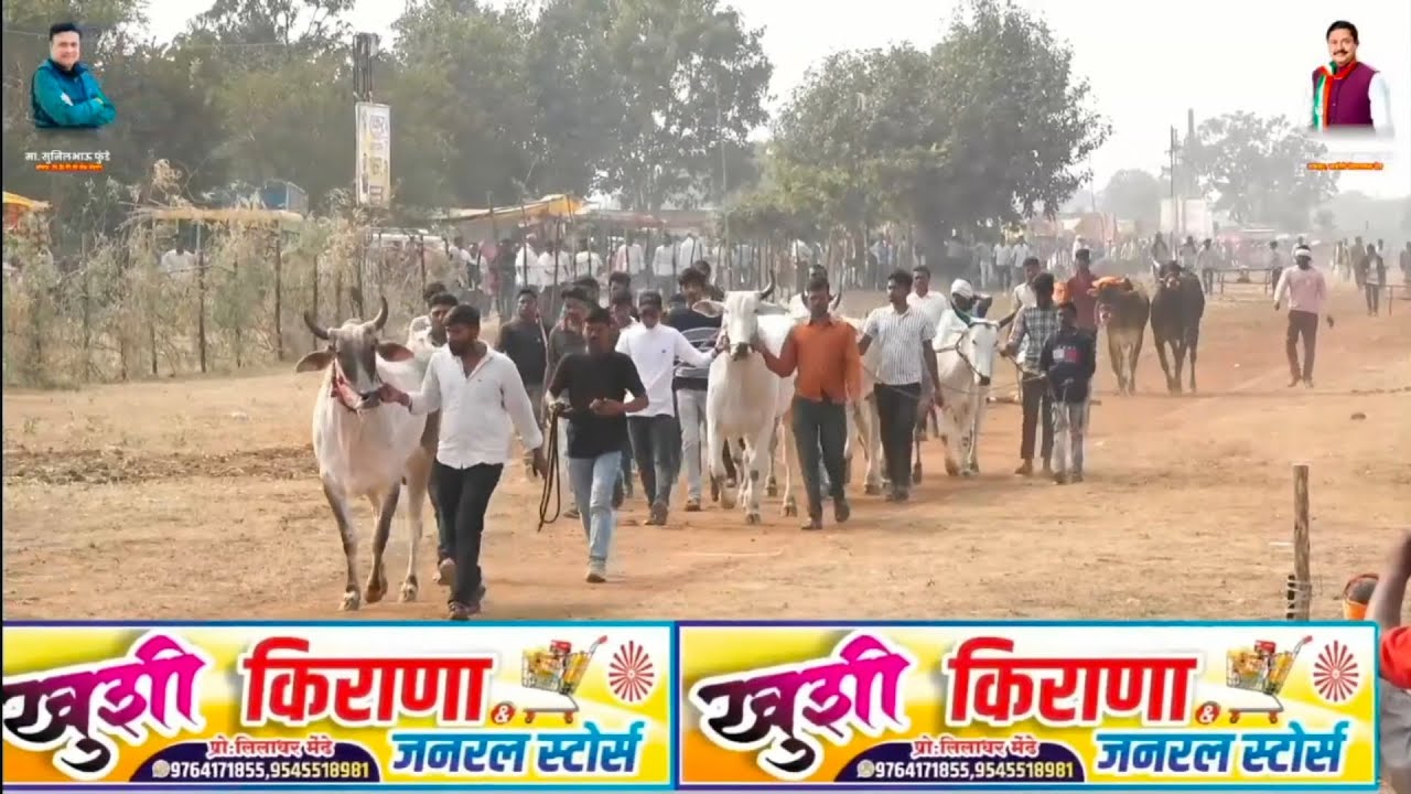 पिंपळगाव शंकर पट 2026 💥 अज़ीम पटेल बिहिरिया 🔥 अखण्ड हिंद केसरी 💯 डुंगरिया 👑 & शेरा ⚜️ मगरिया 