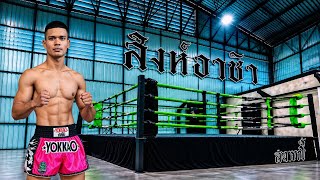 How Singdam CRUSHED💥the game(Fight breakdown)Singhaarcha gym🥊#RMAVLOG5  #muaythai