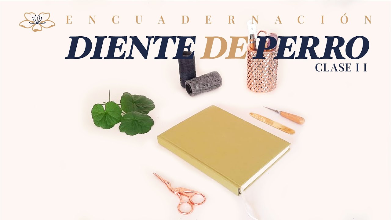 Encuadernación Diente de Perro - Clase 2