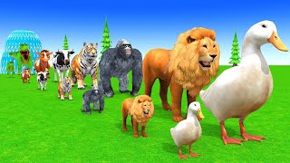 Download Lagu Long Slide Game with Cow Elephant Gorilla Hippopotamus Tiger 3d Animal Game Funny 3d Animals MP3