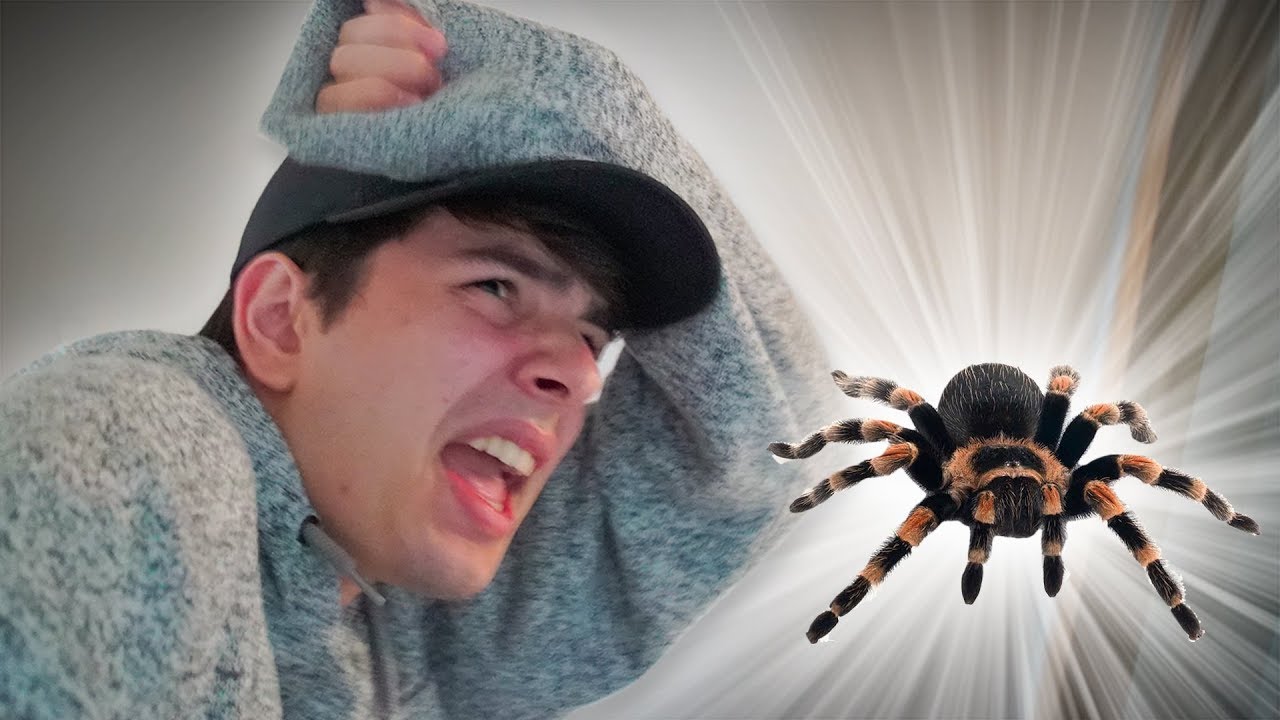 visa americana costa rica DEI UM SUSTO NELE COM O SEU MAIOR MEDO! ( enigma ) ‹ NeaglePrank ›