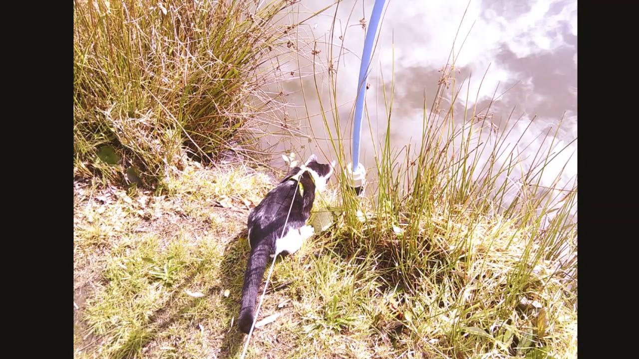 Hollywood at Dartmoor View Caravan Park