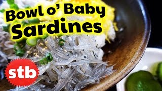 Japanese Food: Shirasu-Don AKA Whitebait in Enoshima, Japan // SoloTravelBlog