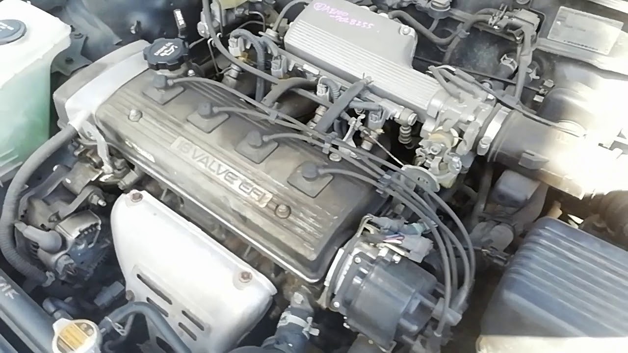 AE1007028255 YouTube