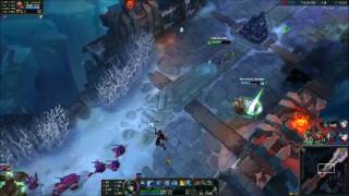 nami bug