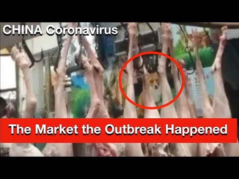 sercets-revealed-china-virus:-wuhan-coronavirus-seafood-market-birthplace-of-outbreak