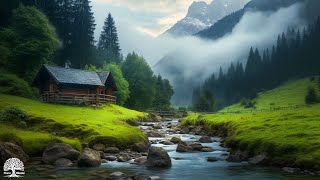 Beautiful Relaxing Music  Stop Overthinking, Stress Relief Music, Sleep Music, Calming Music #1