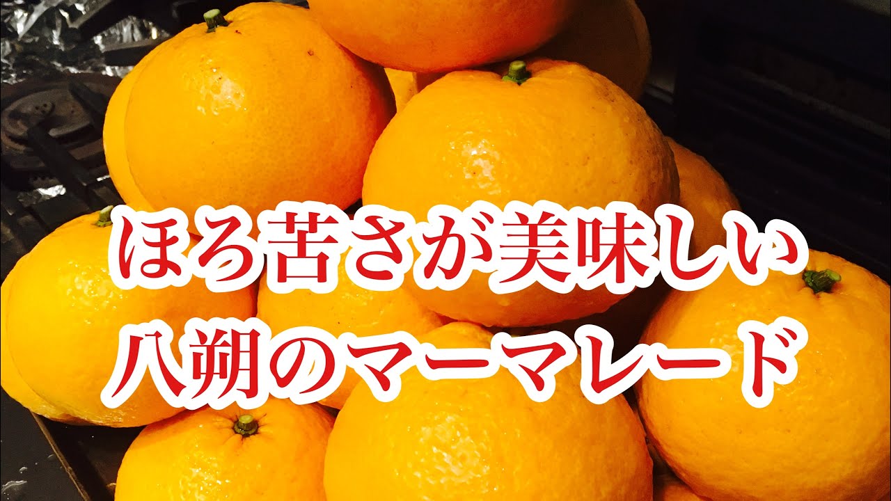 八朔のマーマレード　ほろ苦いのが美味しい