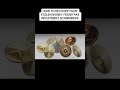 How to recover lost stolen scammed crypto or money from a... #Shorts #htechhack