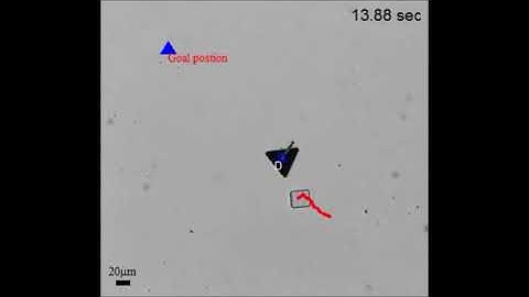 Autonomous dynamic obstacle avoidance for bacteria-powered microrobots (BPMs) with modified vector