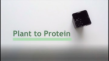 Leaf Expression Systems - From Plant to Protein