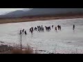 Snow hokey in Leh ladakh.....