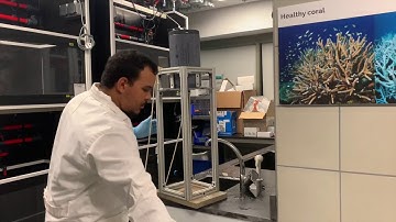 Towards Self-Powered Internet of Underwater Things Devices