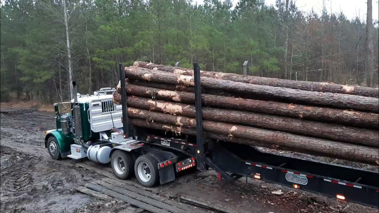 North Carolina logging Terrific tuesday YouTube