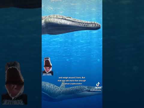 The Real Liopleurodon