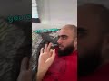 Hungry Cat Attacks Man's Arm