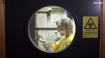 Expert Voices - Karolina Pircs on the importance of user safety