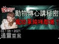 動物傳心講秘密丨寵物單純咩都爆?-通靈重案-KentGor_Ophelia_Cecelia-2021年8月3日