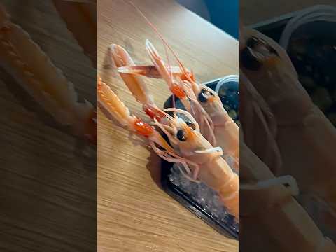 Crazy Marbling Battle