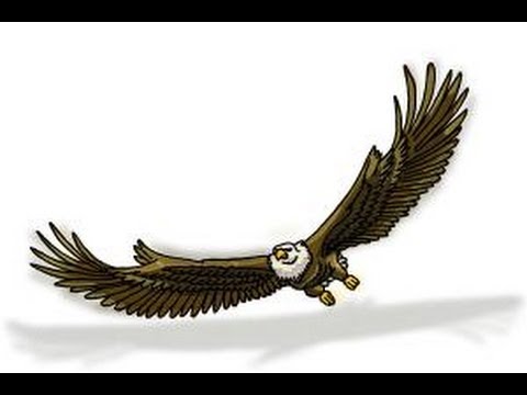 Steven Noble Illustrations: Eagle Wing art