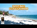 Check Out This White Sand Beach 500m From Our Little Cayman Development