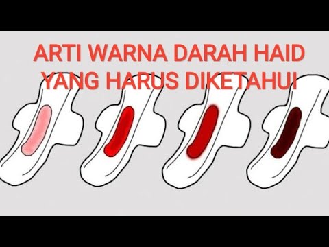 Video: Carta Warna Darah Period: Hitam, Coklat, Merah Cerah Dan Banyak Lagi