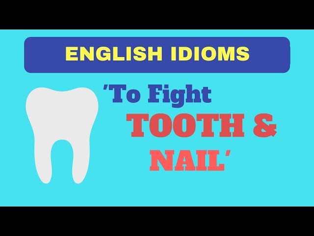 Fight Tooth And Nail Meaning In Marathi - मराठी अर्थ