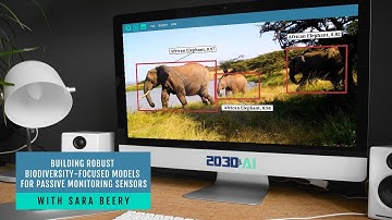 Building robust biodiversity-focused models for passive monitoring sensors