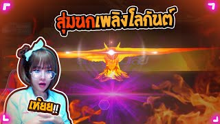 Free Fire : สุดจริงเพลงนี้ขออะไรก็ได้ #เบิ้มสายเปย์ #สายปั่น #สายฮา #พี่ข้าวฟีฟาย