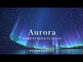 Aurora Ambient Rock Playlist Emotional Relaxing Instrumental 1 Hours 