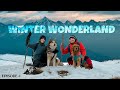 In search of winter wonderland  ep 01  the himalayan husky