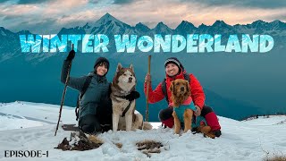 In search of Winter Wonderland 🥶❄️ EP 01 | The Himalayan Husky