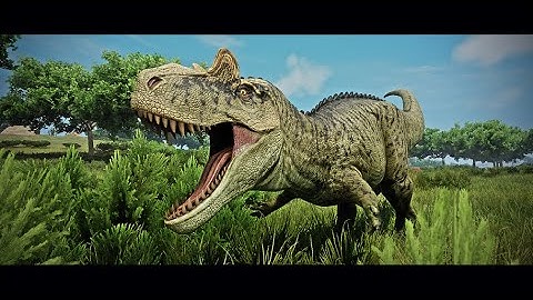 WWD - Cerato VS Anodon (Anky)