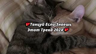 💖Танцуй Если Знаешь Этот Тренд 2024💖