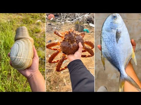 Cooking and Eating Delicious Fresh Seafood | Chinese Eating Show | Funny Mukbang #4