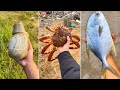Cooking and eating delicious fresh seafood  chinese eating show  funny mukbang 4