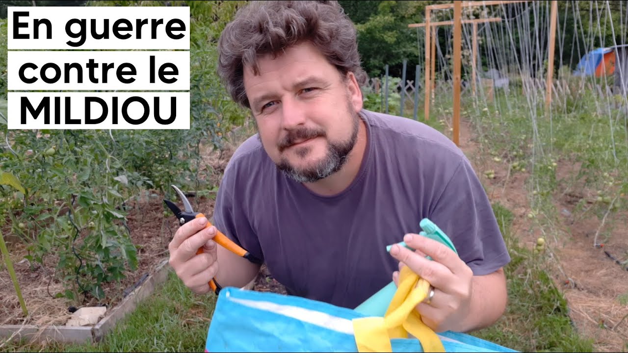On peut se battre contre le MILDIOU ! 💪😤🤜