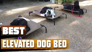 Best Elevated Dog Bed In 2024  Top 10 Elevated Dog Beds Review