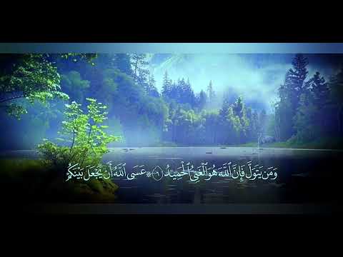 أحمد الشافعي سورة الممتحنة