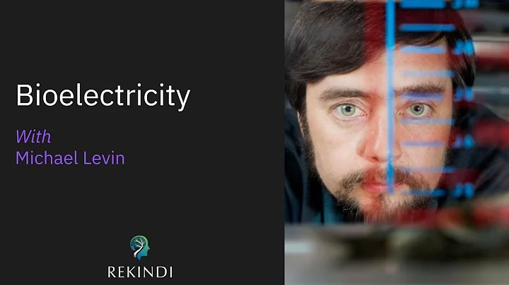 Rekindi #29 - Bioelectricity, Regeneration, Cancer Suppression & Xenobots - with Michael Levin