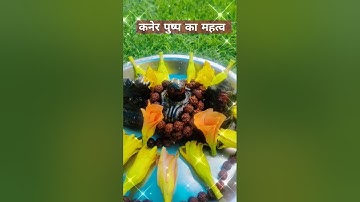 कनेर पुष्प क्यों #शिव जी पर चढ़ाते हैं !#shorts  #pandit_pradeep_ji_mishra #mahadev