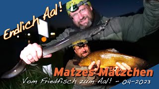 Matze Koch: Angeln auf Friedfisch und Aal! - Matzes Mätzchen 04-2023