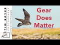 Gear Does Matter, Especially for the Beginning to Intermediate Bird Photographer