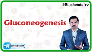 Gluconeogenesis Biochemistry - Dr G Bhanu Prakash