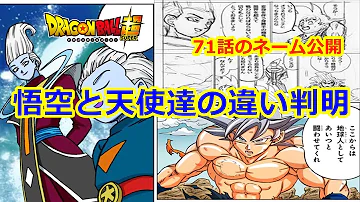 ドラゴンボールスーパー 考察