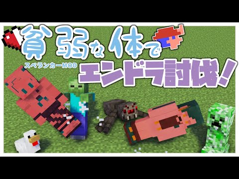 video thumb