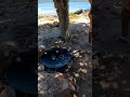 pesca sub #amém #mensagemdefé #jesusteama #oraçãodanoite #amen #jesuslovesyou #fe #pesca #4k
