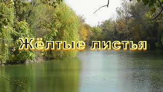 картинка: 
