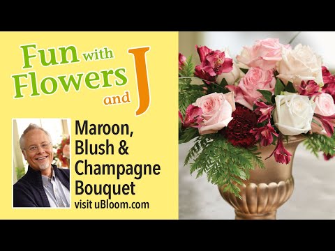 Video: Champagne splash flowers - a beautiful decoration for your garden